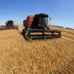 Жаркое лето 2012 — урожай в Украине может оказаться хуже прогнозируемого